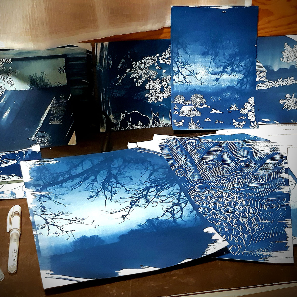 Cyanotypes