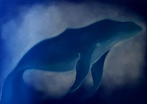 Baleine