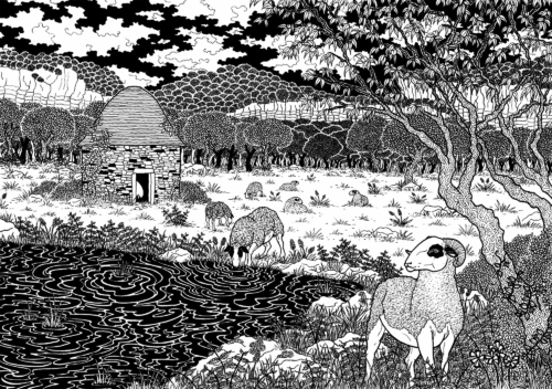 Cazelle et Brebis Caussenardes