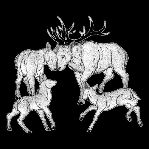 La Belle au Bois Dormant