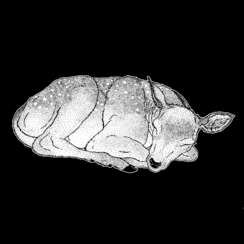 La Belle au bois dormant - 01