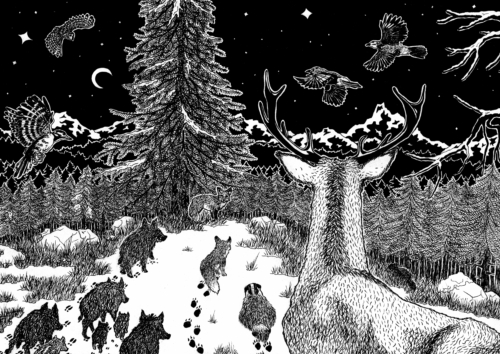 Les petits animaux de la forêt