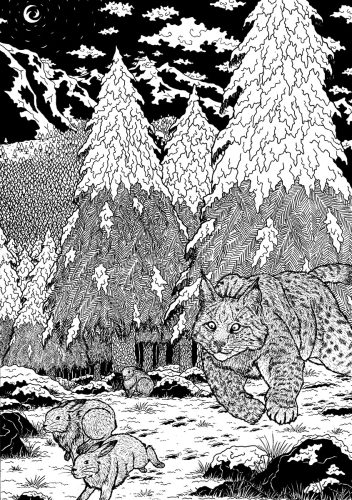 Lynx boréal