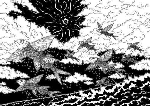 Poissons Volants