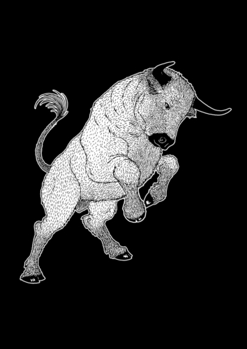 Taureau